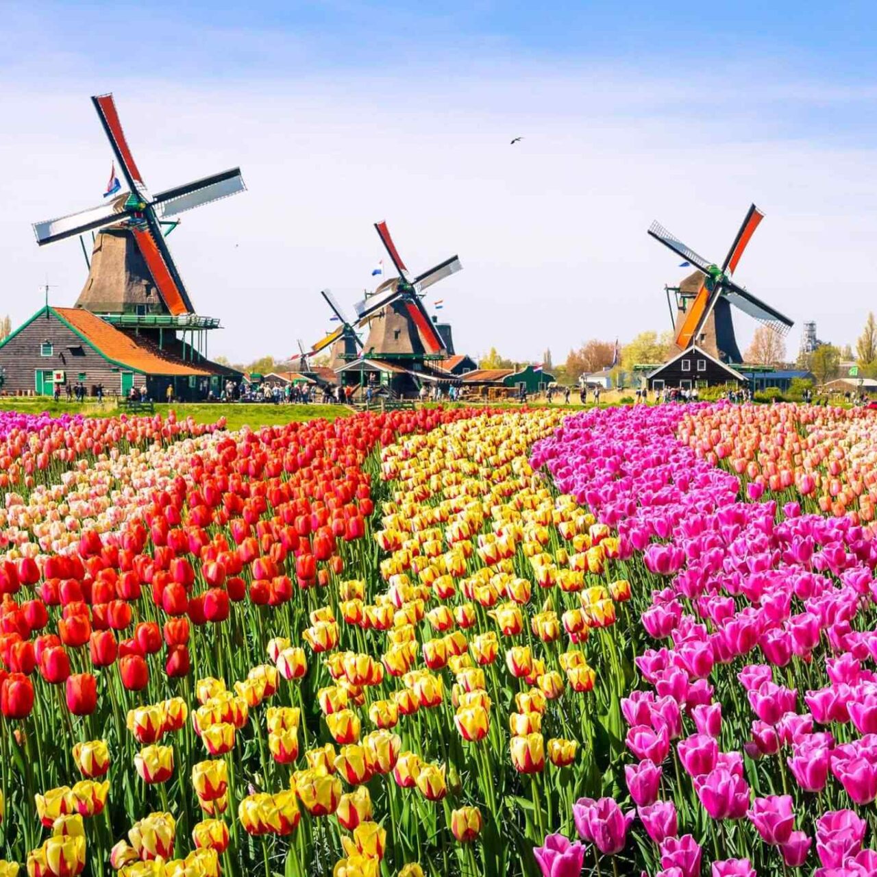https://oriensegypt.com/wp-content/uploads/2018/09/destination-netherlands-01-1280x1280.jpg