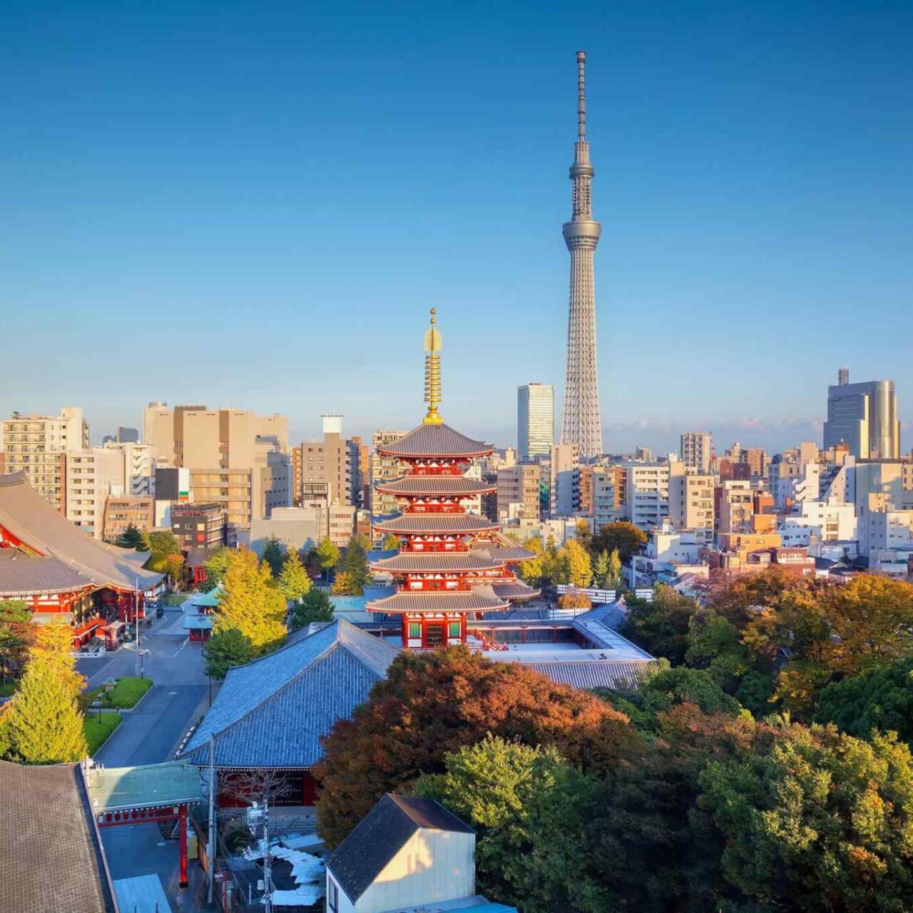 https://oriensegypt.com/wp-content/uploads/2018/09/destination-tokyo-04-1280x1280.jpg