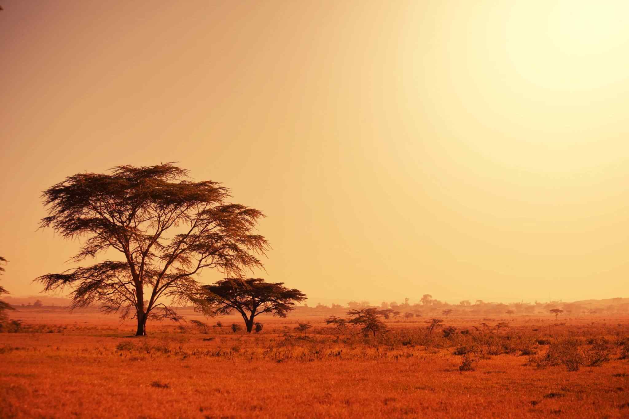 https://oriensegypt.com/wp-content/uploads/2018/09/tour-africa-02.jpg