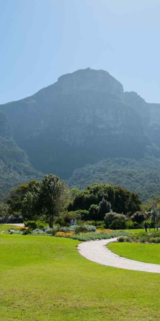 https://oriensegypt.com/wp-content/uploads/2018/09/tour-capetown-03-640x1280.jpg