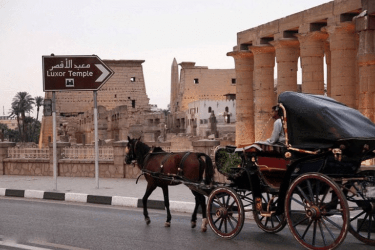 Luxor City Sightseeing Tour by Horse Carriage
